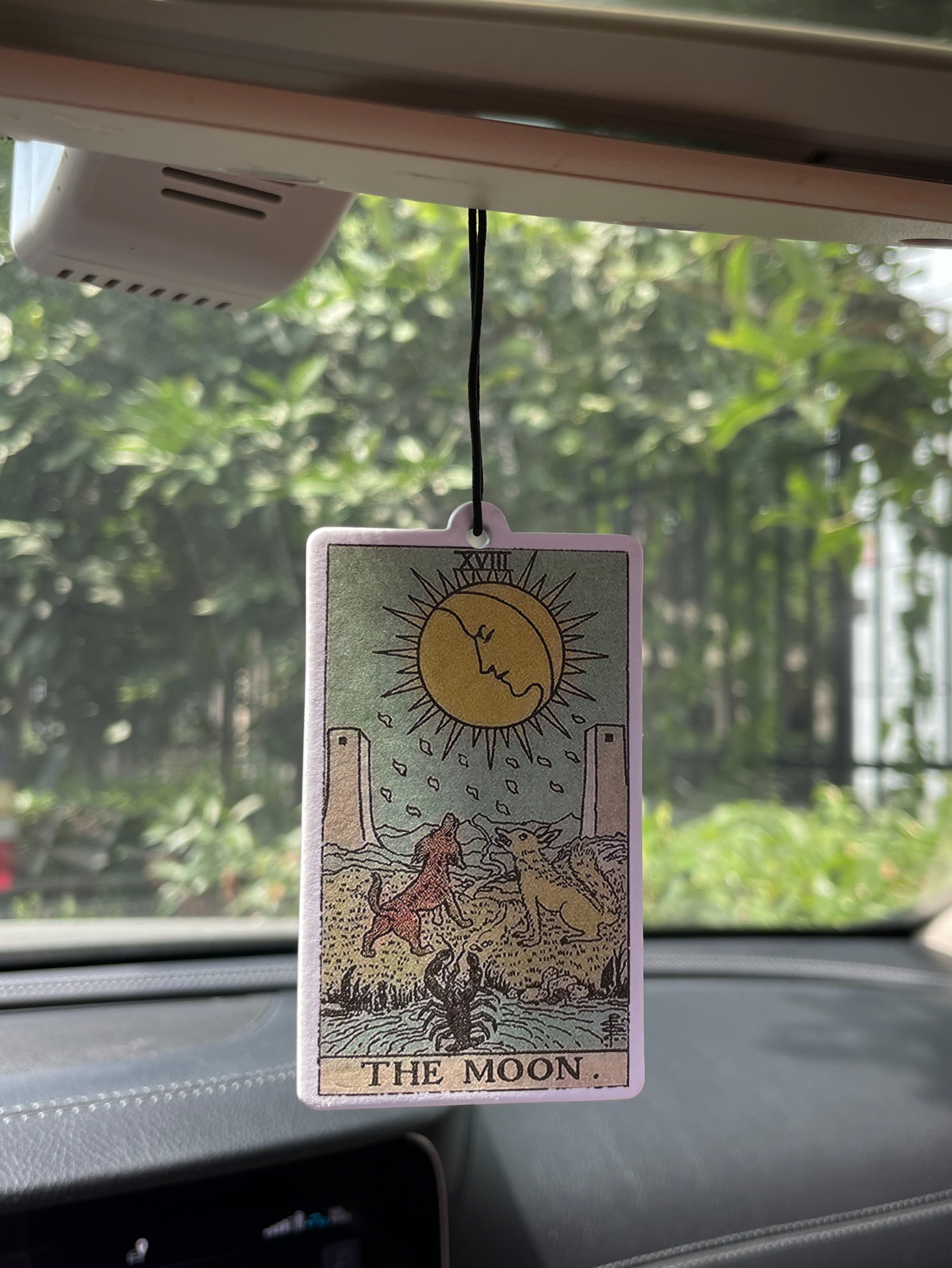 Legend/Gulong Fresh Scent Five - đánh giá và giá Home Fragrance Types