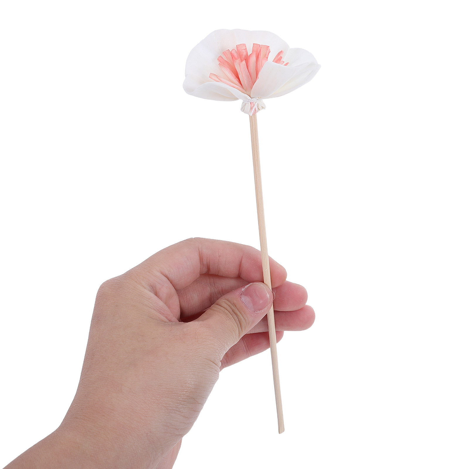 10Pcs Essential Oil Diffuser S - đánh giá và giá Home Fragrance